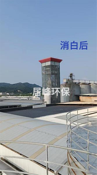圖片2.jpg